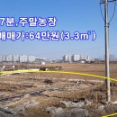 법곳농장 Daum카페