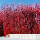 송학주천로 이미지