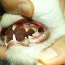 중동 우리아이 동물병원 이미지