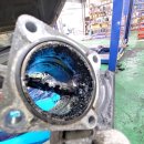 대현모터스 이미지