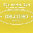 베이컨가평 티스토리