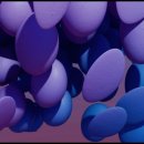 한결약국 이미지