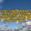 [2024 살아나는아침 살리는하루]80번째 아침 묵상 - 누가복음 2장14절 | 히즈윌의 &#39;빛으로 오신 예수님&#39; 이미지