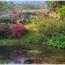 동해황토민박 | 동해근처벤션 반려견과 함께한 동해 황토민박펜션 여정