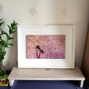 원불교 동해교당 이미지