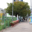 동구 코로나백신센터 앞 이미지