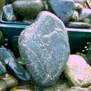 피미농장 이미지