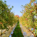 은성농장 이미지