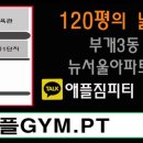 애플GYM.PT 이미지