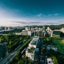 다온메디 이미지