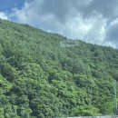 힐링탁구 | 파크로쉬 정선 후기 근처 맛집 추천 힐링되는 수영장 내돈내산 후기