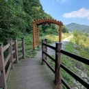 치악산둘레길 7코스 싸리지옛길 이미지