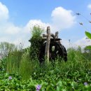 물레방아 이미지