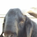 주완농장 이미지