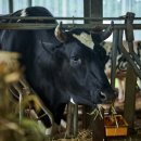 권씨농장 이미지