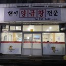 현이양이 이미지