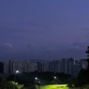 감이로 | 서울 근교 골프장 캐슬렉스CC 서울 8월말 1부 새벽 내돈내산 라운딩 후기