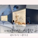 별똥별어린이도서관 | 서울 서대문자연사박물관 초등학생 아이랑 가볼만한곳 관람정보 꿀팁
