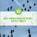 울릉도 여름철새 멸종 위기종 흑비둘기, 일본에서 겨울 난다 이미지