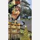 걷기의 미학과 도시 | 🍱 가오슝 | 로스트덕 훈제바베큐 도시락, 가오슝 최고맛집 추천, 가오슝시립미술관 전시회, 트램명소...