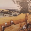 농부할인마트 이미지