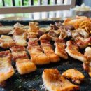 꿀돼지집 이미지