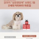 바이하트