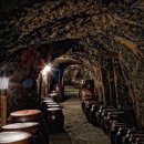 명품광천토굴새우젓 이미지