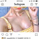 빠꾸PC 이미지