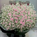 꽃공인중개사사무소 이미지