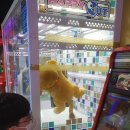 빅터강원배드민턴아카데미