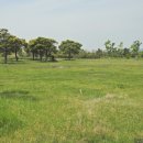 을숙도 생태공원 이미지