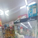 쌍둥이네 애견 이미지