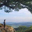 서동푸드 | [충남 부여 여행] 궁남지 서동연꽃축제 후기｜부여 가볼만한곳&amp;주차방법 정리