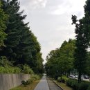 [5060여행친구]강릉(제13대명종,인순왕후심씨)탐방후기,19,8,23,금 이미지