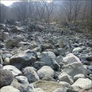 한라산 콘도미니엄 | [스크랩] ♣ 2016년 2월 26일~3월1일 한라산둘레길 = 첫째날 = 천아숲길 (천아천수지~돌오름)