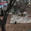 김밥천국 묵호점 이미지