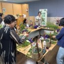 서귀포보건소치매안심센터 이미지