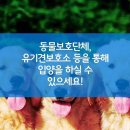 강아지 사지말고 입양하세요 이미지