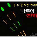 나루예 전자탑 사용기 만들기