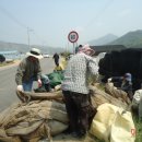 초전면사무소 이미지