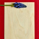 김민정치과의원 | 홍대치과/연세MY바른이치과- 앞니라미네이트 후기 신뢰가 가는 곳!