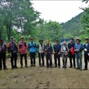 빛네농장 이미지