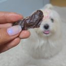 뚜유 | 핸드메이드 애견 수제간식! 뚜유 강아지 수제간식 소간칩