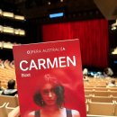 오페라보러화요:나비부인 | 시드니 오페라하우스 공연 I 티켓 예매 방법 + 카르멘 후기(D석 T열 시야)