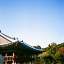 [옥정]스마트폰 인생사진 촬영하기 | 후지 일회용 필름카메라 스캔 현상소 추천!