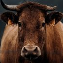 세계농장 이미지