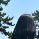 벧엘미용실 이미지