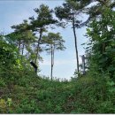 외씨버선길(장계향디미방길) 이미지