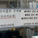 현대가정의원 네이버블로그